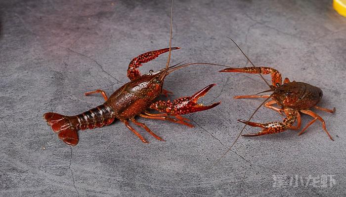 2ed236794aeffab4.jpg 2ed236794aeffab4.jpg