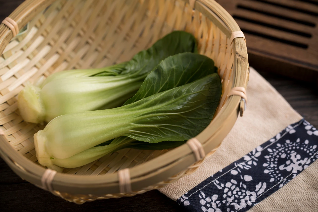详细阅读:这种绿叶菜,健肠道、延衰老,四季必备,好吃好做 这种绿叶菜,健肠道、延衰老,四季必备,好吃好做