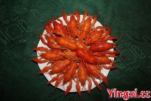 纯靠饿一个月可以瘦几斤，什么方法减肥最快还有效果不反弹