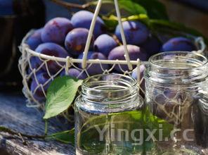 猕猴桃的功效与作用吃法,猕猴桃的功效与作用价值