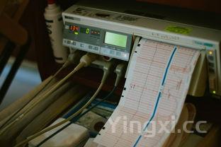 中国甘肃白酒出口情况,这些白酒走出国门迈向世界舞台