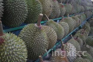 微波炉烤鸡翅怎么烧好吃又简单,微波炉烤鸡翅的做法