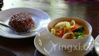 怎样炖鸡汤好喝又营养的,怎样炖鸡汤才好喝