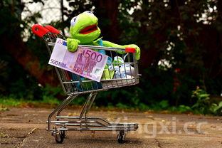 清炖乌鸡汤怎么炖才能汤鲜肉嫩,需要焯水去腥吗?,清炖乌鸡汤