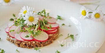 白萝卜的功效与作用及营养价值,白萝卜的功效与作用,禁忌和食用方法