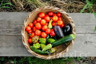 干花胶的正确泡发方法,女人吃花胶的最佳时间