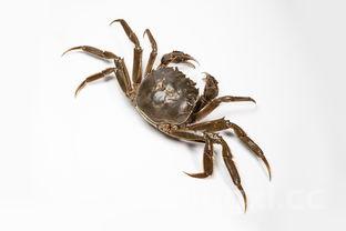 阳澄湖大闸蟹蟹卡怎么使用,阳澄湖大闸蟹蟹卡