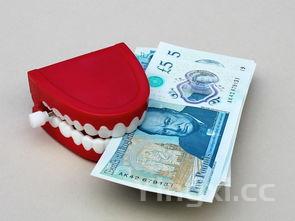 肉丝汤面的家常做法,用挂面做豆角焖面