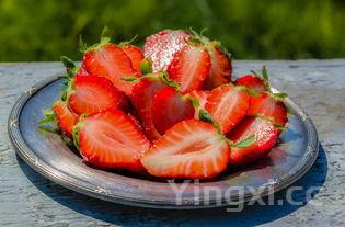 能用白酒洗鞋子吗?这些要点需知晓,让你的鞋子焕然一新!