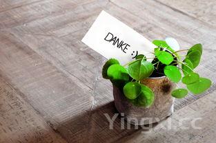 清蒸鲈鱼做法步骤，鲈鱼有几种做法