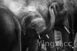 mojito周杰伦mp3百度网盘下载,mojito周杰伦mp3下载