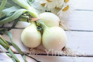 降低血糖十大蔬菜排名 血糖高吃葱头好吗?,降低血糖十大蔬菜排名