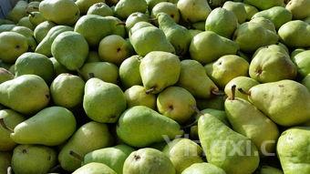 佛手瓜 糖尿病,糖尿病最怕就是佛手瓜