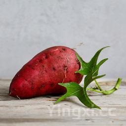 怎样泡制糖醋大蒜头窍门，泡糖醋大蒜的制作方法