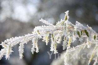 喝高度白酒是啥感觉?辛辣刺激上头,还是另有别样体验?
