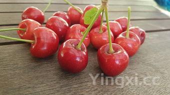 单县羊肉汤多少钱一箱，单县羊肉汤学费多少钱