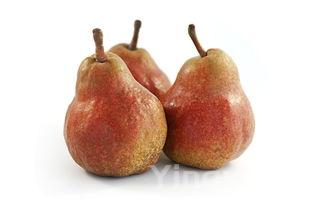 麻辣小龙虾的家常做法视频教程,麻辣小龙虾的做法和步骤