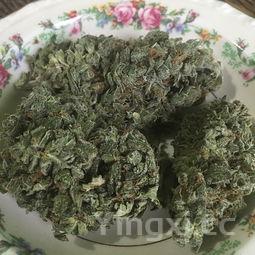 50种简单易学家常菜，懒人10个简易菜