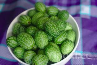 100个清淡小炒菜,家常素菜100道素炒