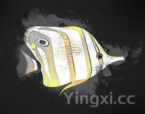 海鱼清蒸好吃吗，海鱼清蒸鱼的做法步骤