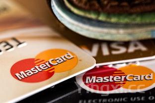 啤酒鸭的做法视频教程（啤酒鸭的做法步骤视频）