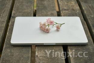 八宝粥最佳配方,八宝粥怎样配比比较好吃