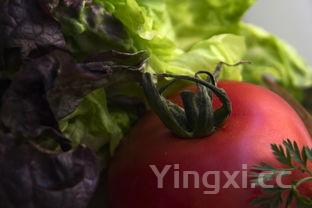 怎么腌制鲜辣椒好吃,辣椒怎么腌制方法