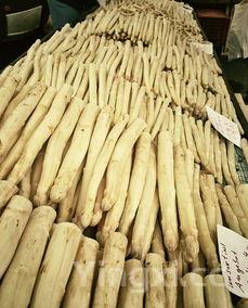 鲜芦笋如何做，鲜芦笋怎么做好吃