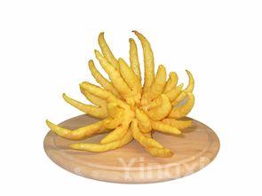 紫菜的十大功效,紫菜的功效与作用以及食用禁忌