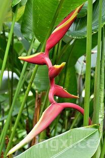 详细阅读:家常烧茄子,酱香浓郁,色香味俱全 家常烧茄子,酱香浓郁,色香味俱全