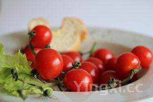 豆角炒肉丝的做法,豆角炒肉丝的做法家常菜