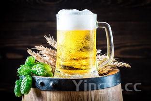 喝了假白酒会头疼吗？探究假白酒对人体的影响