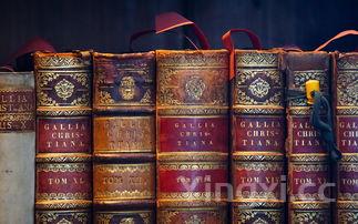 雷笋蚕豆炒雪里蕻香脆可口下饭神器