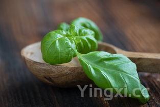 猪肉白菜馅如何调制,猪肉白菜馅怎么调最香又好吃