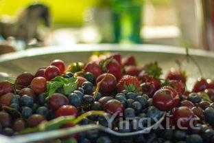 笋干老鸭煲的做法大全,笋干老鸭煲的做法大全图片