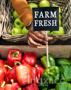 豌豆荚官网抖音，豌豆荚官网