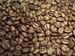 肉酿生麸怎么做,肉酿生麸的做法