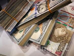 春卷皮做法,春卷皮做法最全教程