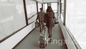 小型养殖什么最赚钱,适合穷人没本钱的养殖