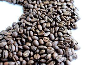 烤生蚝的做法及调料,烤生蚝的做法及调料视频