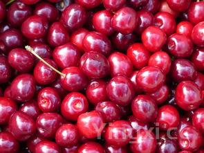 蒸鸡的正宗做法，药材蒸鸡的正宗做法