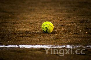 黄豆芽怎么泡发做豆芽观察日记,豆芽观察日记