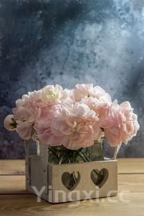 包粽子的做法大全,包粽子的做法慢动作