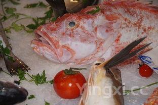 腌蒜苗的做法自制,腌蒜苗的做法 自制