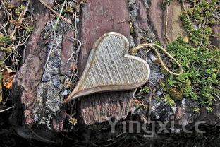 清汤火锅的做法大全,家常清汤火锅超简单的做法