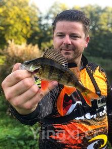 吃什么容易滑胎流产,吃什么容易滑胎流产麝香膏药