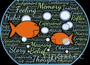 家常豆角焖面的做法，正宗豆角焖面的做法