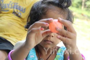 四川凉拌菜,四川凉拌菜有哪些