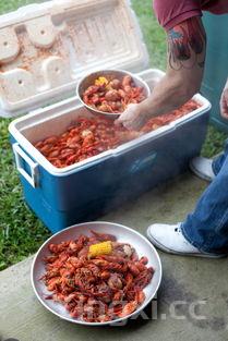 怎么煮元宵?,怎么煮元宵