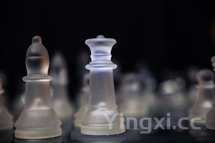 两人喝白酒如何巧妙逃酒？这些实用方法快收藏